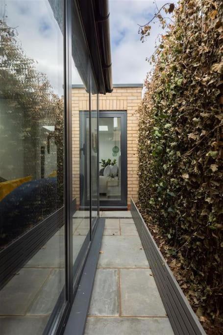 Cozy Leyton House With Garden And Small Terrace Λονδίνο Εξωτερικό φωτογραφία